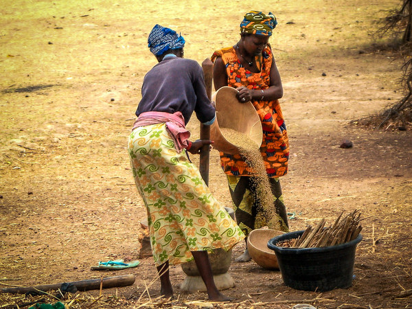 CaFoscari's tweet photo. 🌡️ The effects of #climatechange on the South African economy and on #genderinequality: a study by @shourodasgupta and @soheilsh, researchers at @CmccClimate and @EIEEorg, examines the impact of climatic stressors on #femalelabour. 

🌐 More on #CFnews: https://t.co/DqG3qg4DBs https://t.co/Zn32lwKH86