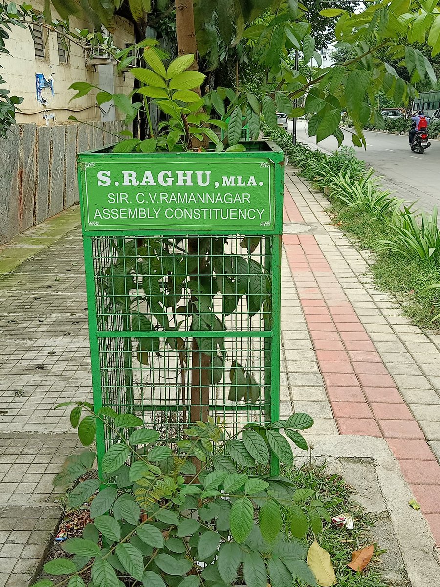 Lolita_TNIE's tweet photo. Looks like even trees in Bengaluru grow due to PM Modi and CV Raman MLA S. Raghu. This MLA does not spare even an inch of space to publicise his name...right from posters abt anything small to facility inside Hospital  :) :) :) @BSBommai @PMOIndia @narendramodi @mla_raghu https://t.co/Gp6vusROx5