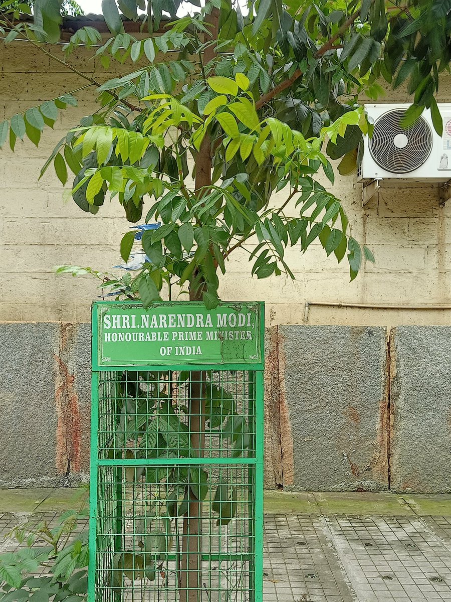 Lolita_TNIE's tweet photo. Looks like even trees in Bengaluru grow due to PM Modi and CV Raman MLA S. Raghu. This MLA does not spare even an inch of space to publicise his name...right from posters abt anything small to facility inside Hospital  :) :) :) @BSBommai @PMOIndia @narendramodi @mla_raghu https://t.co/Gp6vusROx5