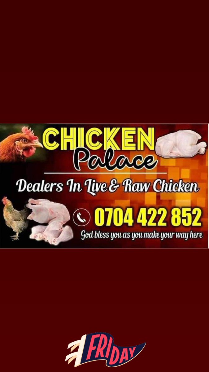 KABALEISAAC2's tweet photo. @MRSMuruguK @MKMurugu @RailaOdinga We sale buy and sale ex-layers,, we are located in kahawa wendani. https://t.co/jpJ7y2UHpS