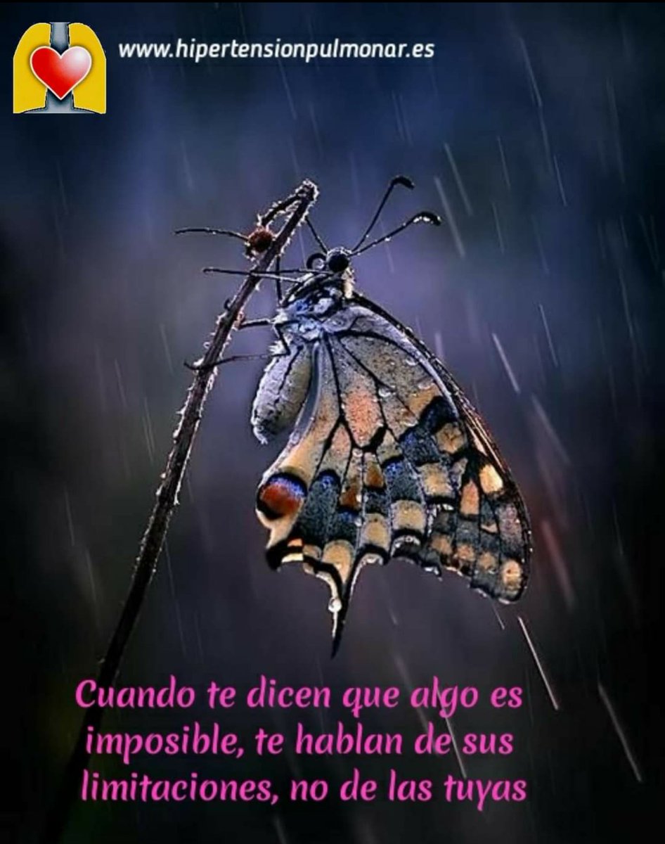 ANdHP's tweet photo. Lo difícil se consigue, lo imposible sólo tarda un poco más.
#HipertensiónPulmonar #venciendoretos #JuntosLlegamosAMás #actitudpositiva #respirar #vivir #soñar #phcure #investigación #eslunes
Bizum 03573
https://t.co/igMAfrd8xV https://t.co/9xTQb27O25