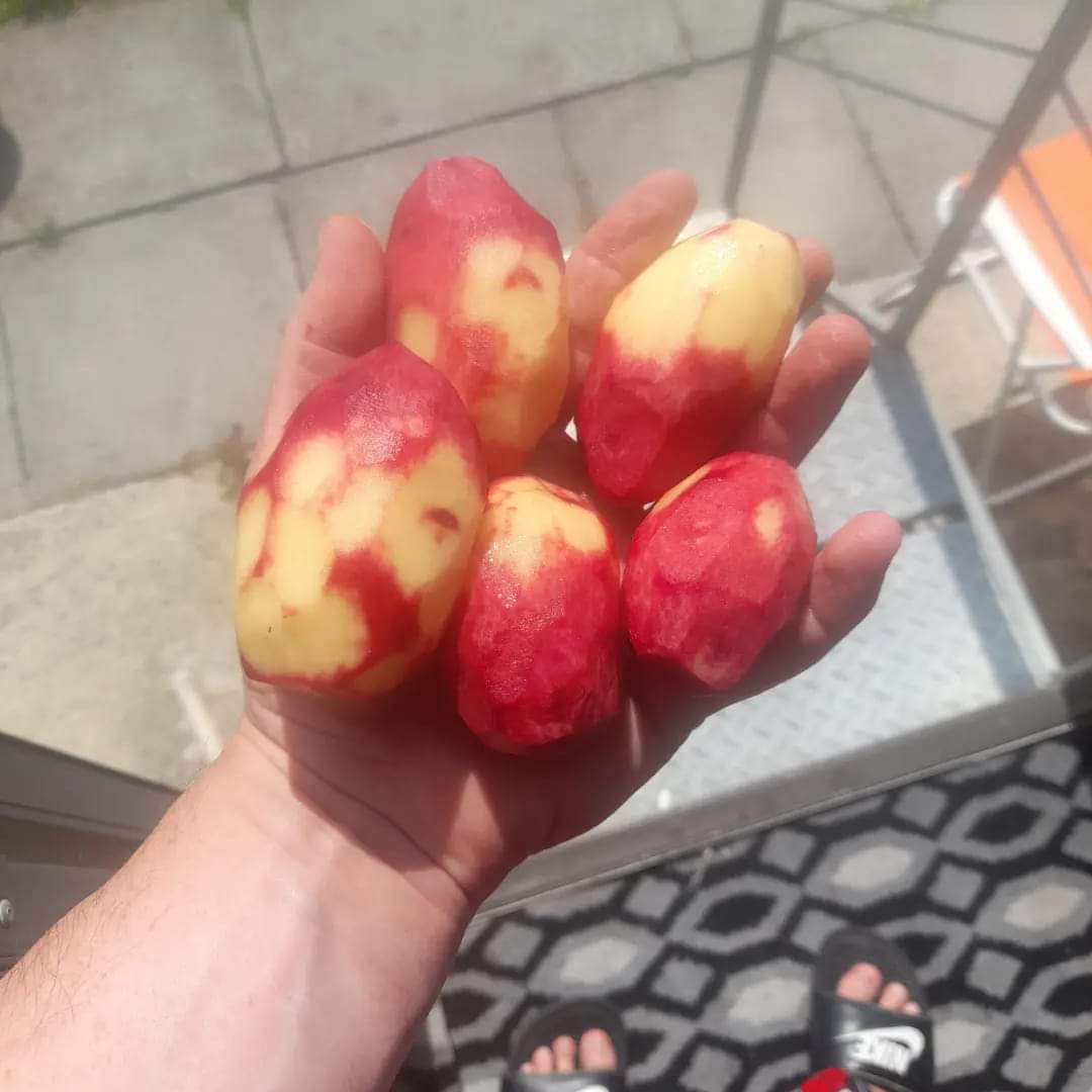 BeechmountBRC's tweet image. Some of our food that we have growing being used to make soup and dinner yesterday 👏👏