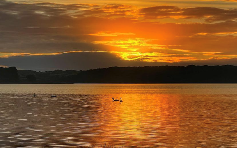 ☀️ July sunsets along the Shannon ☀️
📸: SubhroanInsta

#KeenansofTarmonbarry
#KeepDiscovering
#IrelandsHiddenHeartlands