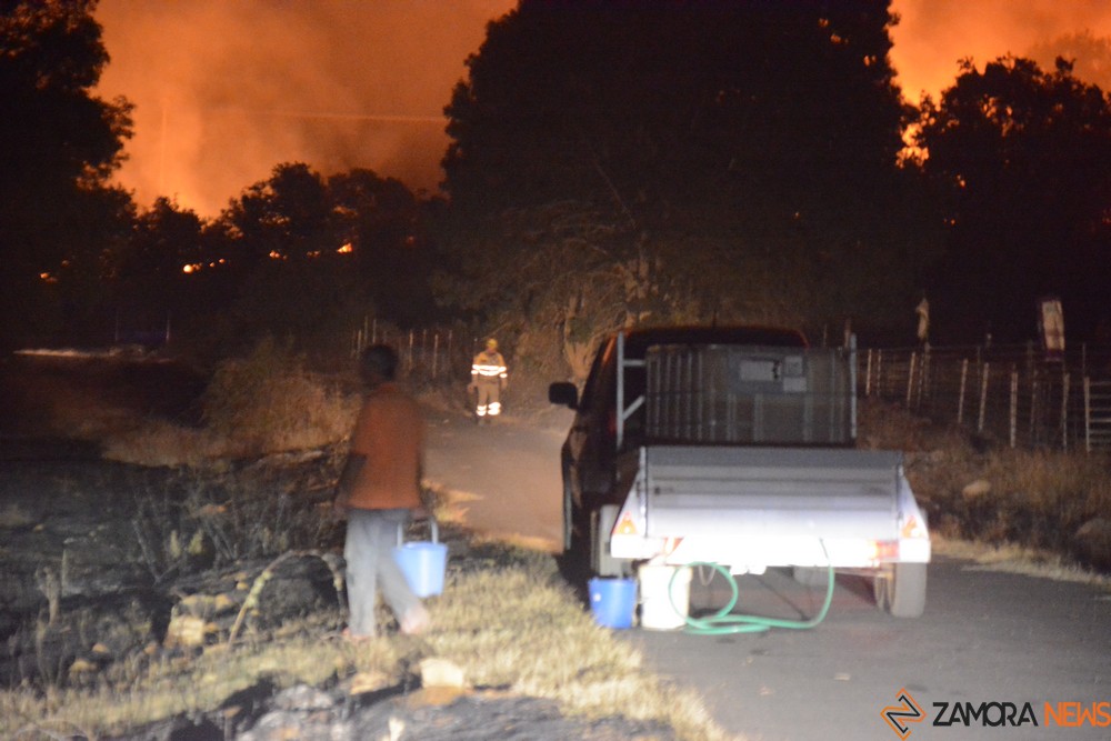 news_zamora's tweet photo. Confirmada la segunda muerte en el incendio de Losacio, #IFLosacio tabara   un pastor que dieron por desaparecido ayer https://t.co/qrcZlAUSa3 https://t.co/Q7d4NR30dR