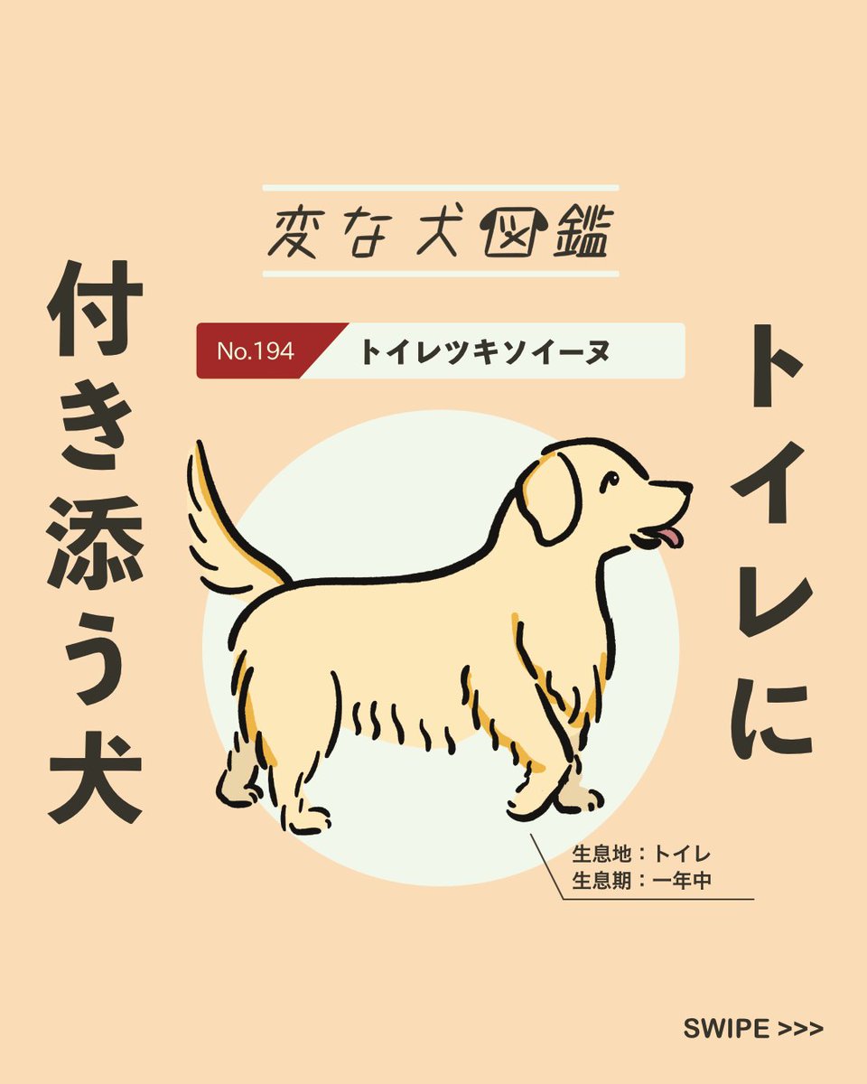 【#変な犬図鑑】
No.194 トイレツキソイーヌ
飼い主のトイレに付き添ってくるあの犬です。 