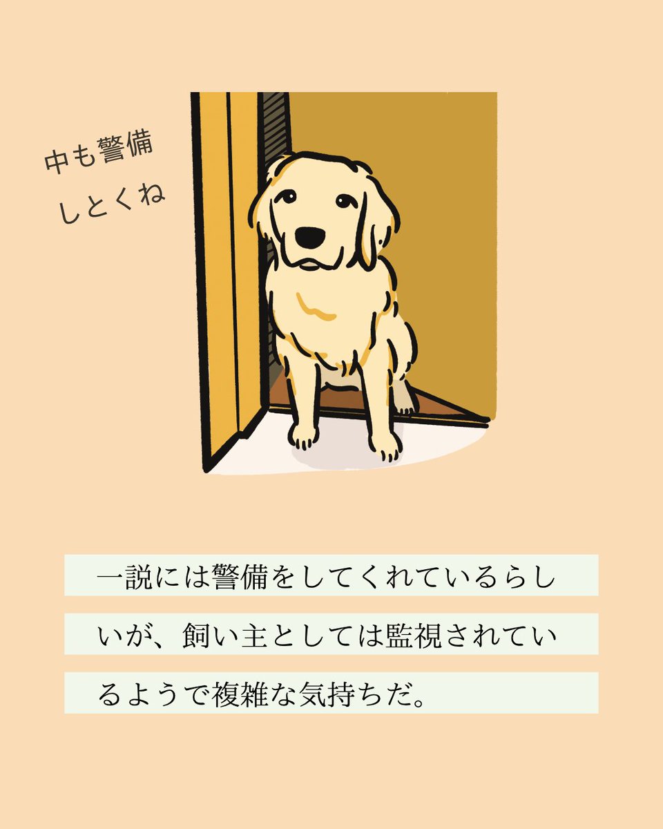【#変な犬図鑑】
No.194 トイレツキソイーヌ
飼い主のトイレに付き添ってくるあの犬です。 