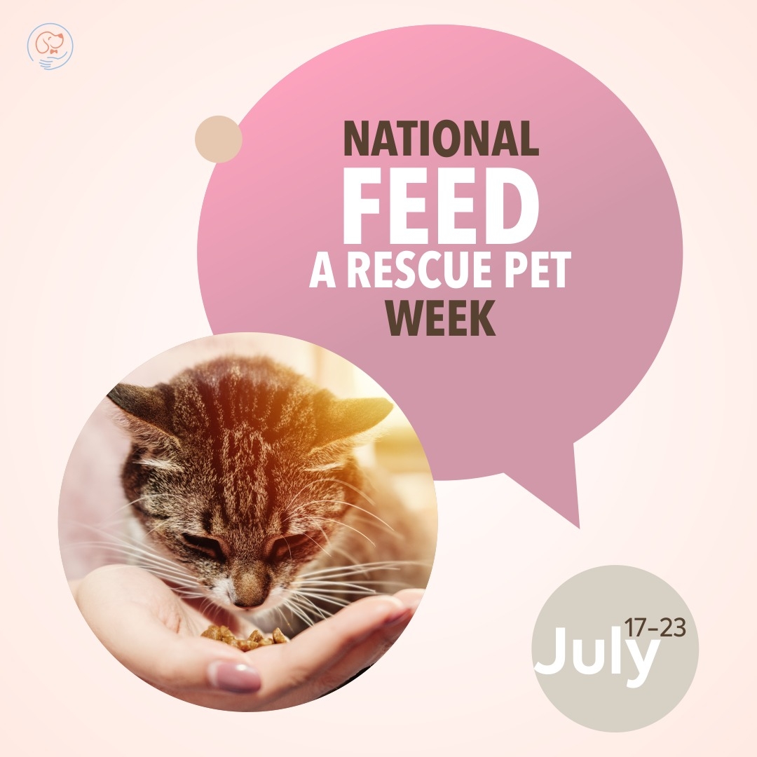 fizgigapp's tweet photo. IT'S NATIONAL FEED A RESCUE PET WEEK
Food is one of the most important needs for animal shelters and rescue organizations. As food costs are surging, help out your nearest animal shelter by buying them pet food. All animals deserve to be loved!
#petcare #feedpets #petrescue #pets https://t.co/GygX9FKG8o