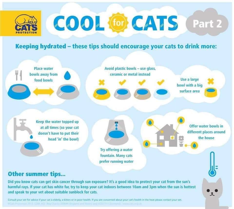 vicki_provan's tweet photo. @DrBenLovell https://t.co/jYCFHBq9ld