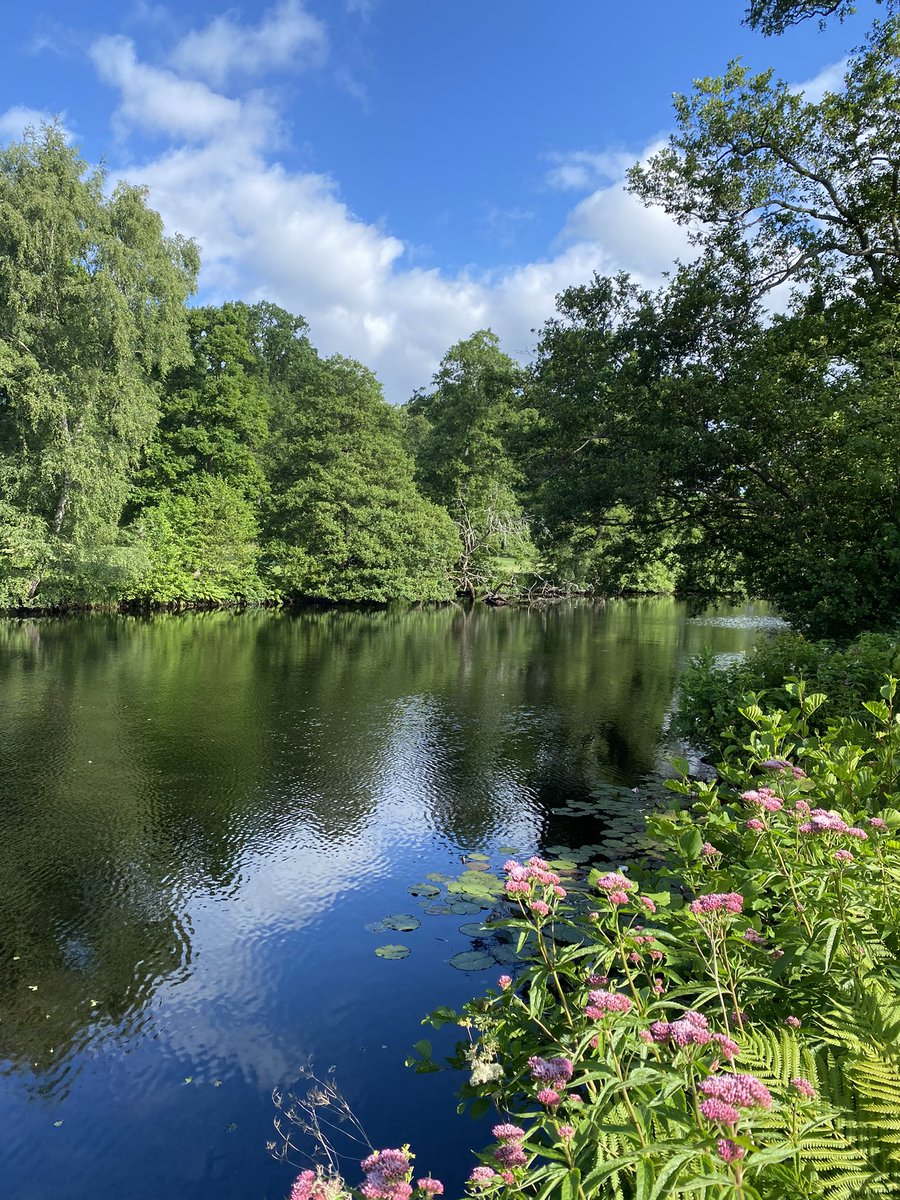 swe_moderators's tweet photo. Swedish Moderators wish you all a safe and nice summer 🙏🏻 ☀️ https://t.co/FuqUMffrj3