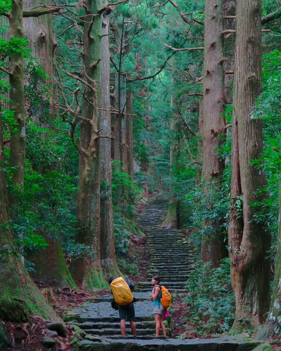 WorldTrailsNet's tweet image. LAST DAY to participate in the 2022 World Trails Survey &amp;amp; Report. 

worldtrailsnetwork.org/world-trails-r…

📍 Ancient Kumano Pilgrimage Trail, Nachikatsuura, Japan
📸 Zhipeng Ya

#trails #TrailMaintenance #TrailBuilding #trailadvocacy #Stewardship #longdistancetrails #thruhike #hiking #mtb
