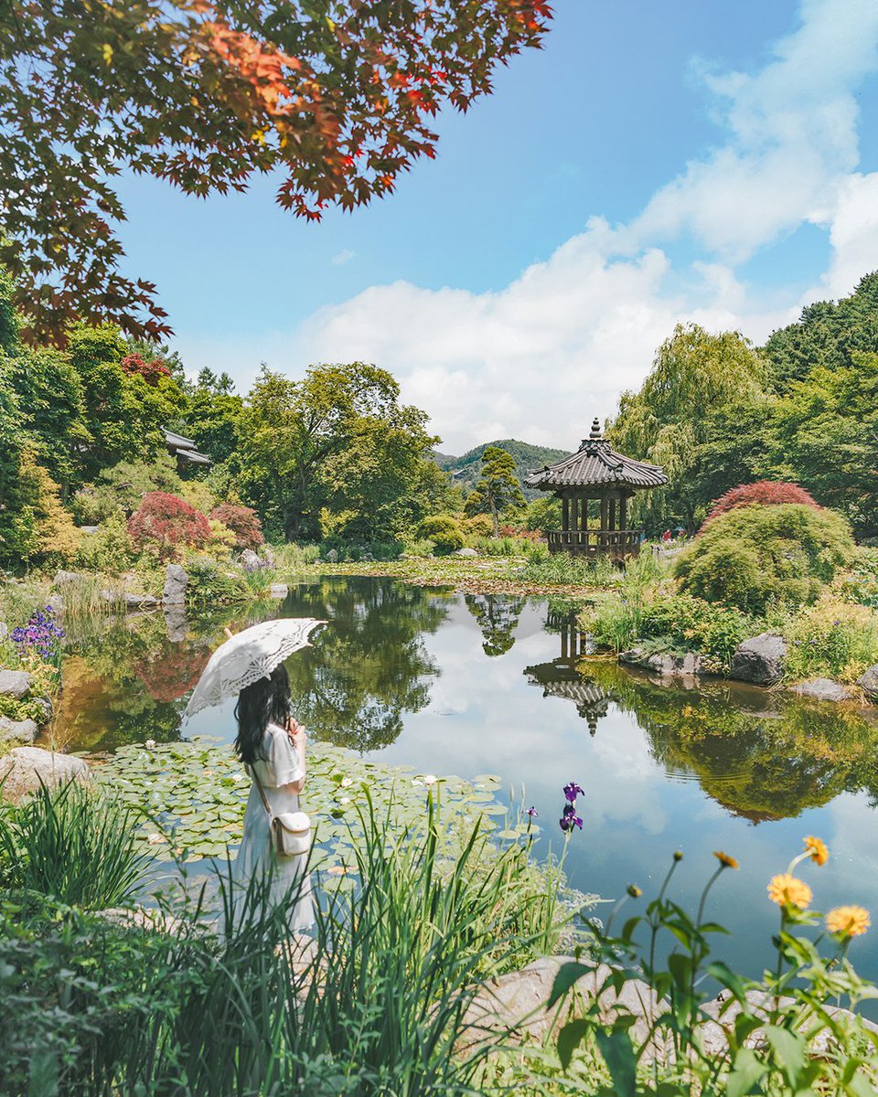 KoreanTravel's tweet photo. Picturesque #landscape at The Garden of Morning Calm!😍
One of the most popular attractions in Korea, the garden has different flowers all year round!😄
Who wants to visit this peaceful garden?!😆

📍 The Garden of Morning Calm: https://t.co/2tNgJBwW7e https://t.co/4EG27WqBEZ