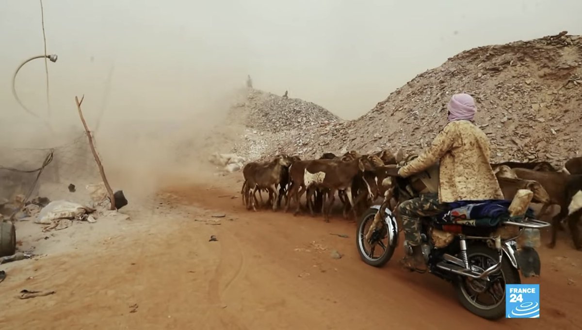 Excellente enquête <a href="/DumayCaroline/">Caroline Dumay</a> de l’Afrique du Sud au #Mali au #BurkinaFaso, la Côte d’Ivoire et jusqu’aux #EAU. Avec notamment les images <a href="/annefleurjo/">Lespiaut Anne-Fleur</a> <a href="/Walid_Leberbere/">Walid Le Berbère</a> &amp; l’intervention <a href="/attaye_ag/">Attaye Ag Mohamed</a> juste et sans fantasmes <a href="/FRANCE24/">FRANCE 24</a> cc <a href="/loickb/">Loick Berrou</a> <a href="/Chopes24/">Claire Hopes</a> youtu.be/7N36tvYz2J0