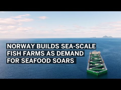 Faanp2000's tweet photo. Norwegian aquaculture innovator Nordlaks builds sea-scale fish farms to address the rising demand for seafood. Learn more in this @saptv video: https://t.co/V7UbgkLPiM https://t.co/Ypg5VaHWaC