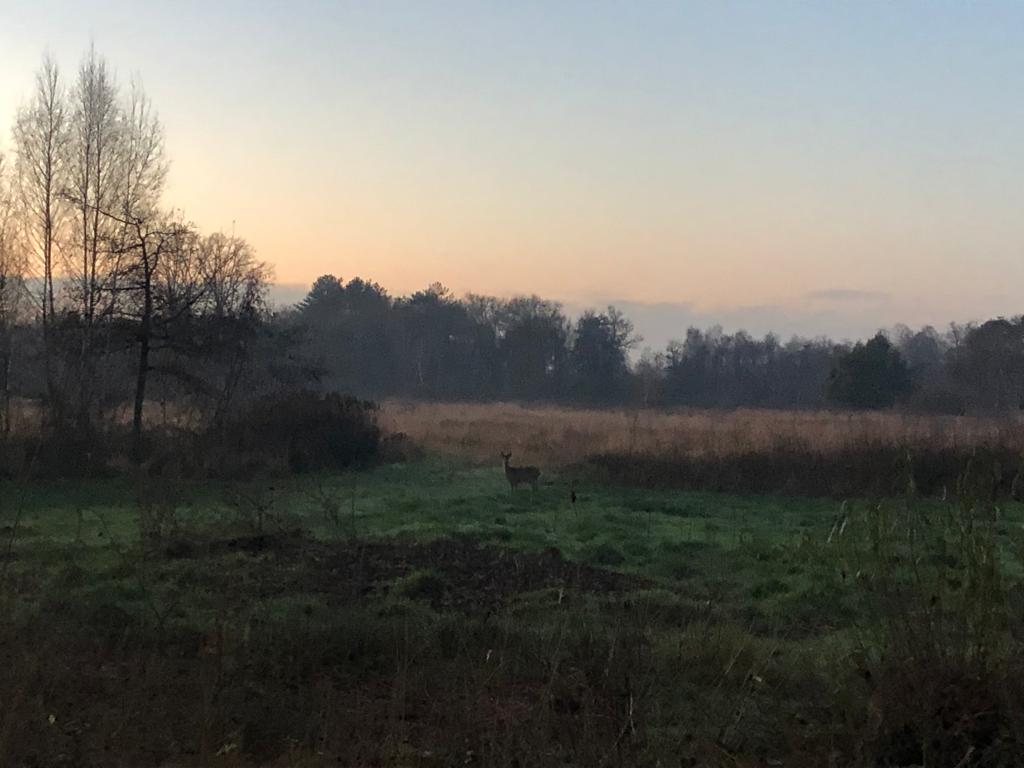 VersPers.nl tweet media