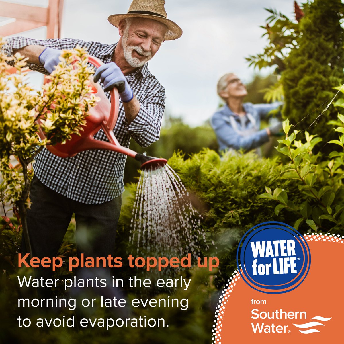 SwaleBoroughCouncil on Twitter "RT SouthernWater It’s forecast to