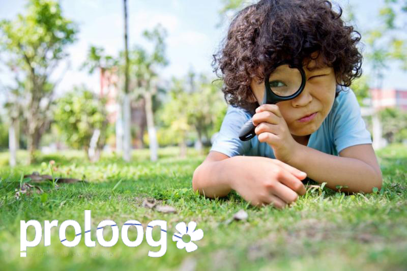 bmeesterschap's tweet image. VACATURE
Proloog zoekt een Stafleraar/IB'er voor OBS De Twa Fisken in Grou. 
Meer weten? Lees verder op: bureaumeesterschap.nl/vacatures/prol…