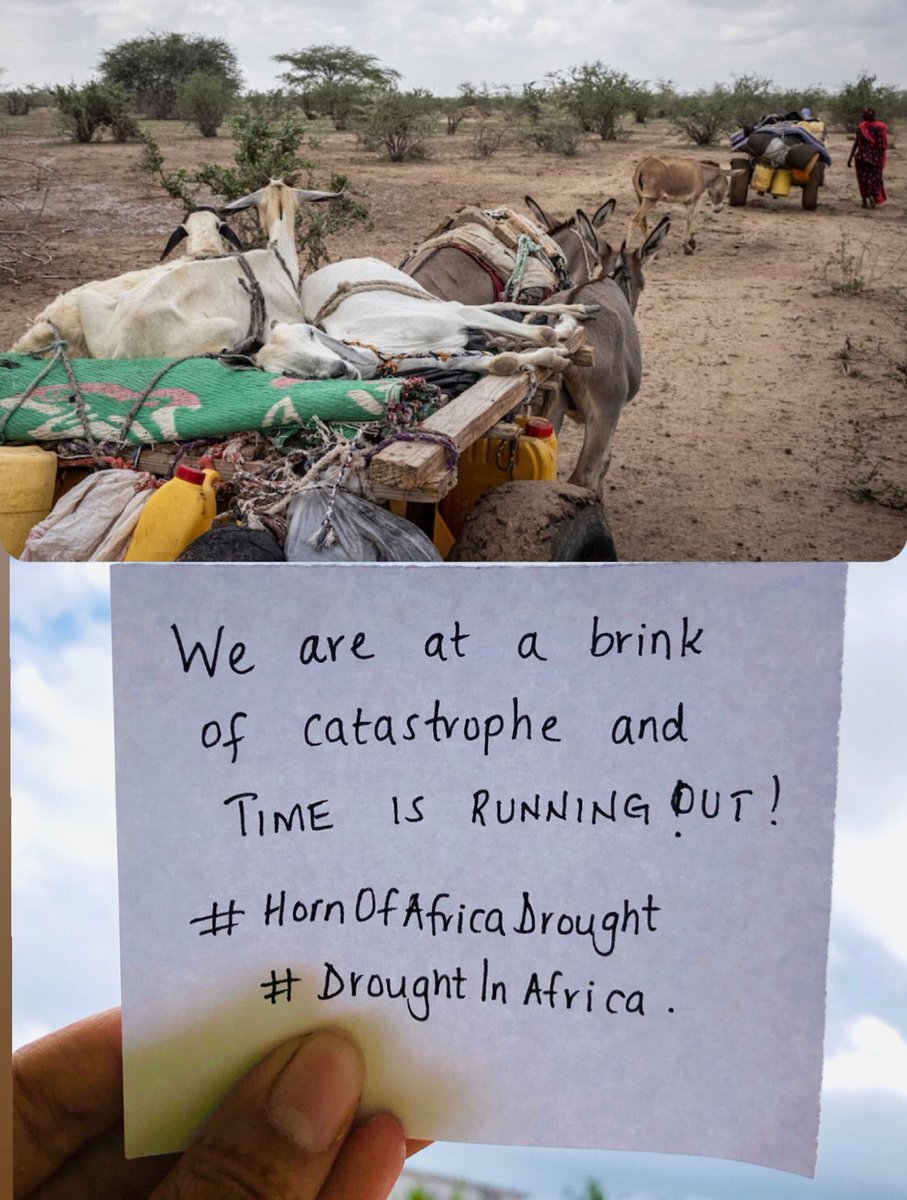 HarunanySumaiya's tweet photo. We are at a brink of catastrophe as more than 20 million people over the #HornOfAfrica countries face extreme hardships and food shortages due to severe #drought
#HornOfAfricaDrought #DroughtInAfrica #WecannotIgnore
@Riseupmovt https://t.co/Uyk63lChXR