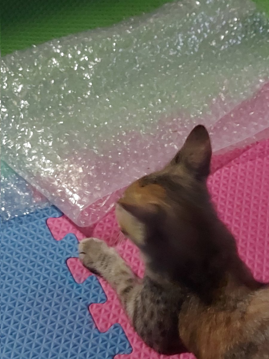 yrrijocartz's tweet photo. ready to pack your orders 🐱💌 https://t.co/grg9LzJvZf