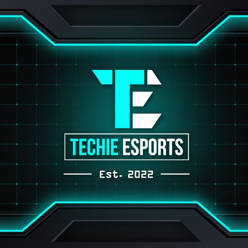 Insi_Designing's tweet photo. #ESposts Designing work for @TechieEsports
#LogoDesigning #BannerDesigning #Designing #InsidiousDesigning https://t.co/FRG4jyR84J