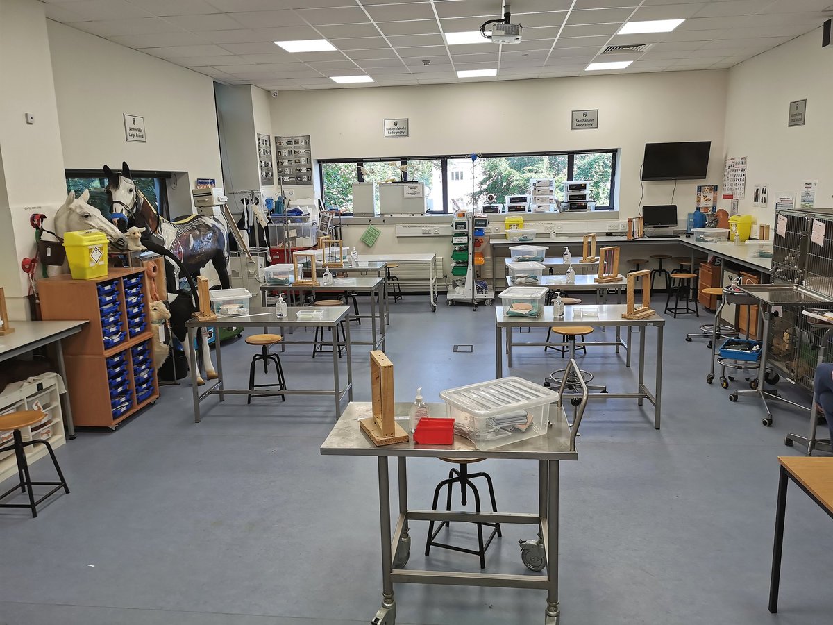 Getting ready to greet our first group of final year Veterinary Medicine students for their surgery rotation 😀 #veterinary <a href="/ucdvetmed/">UCD School of Veterinary Medicine</a>