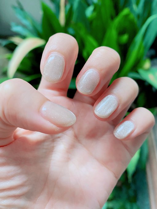 テラテラのtwitterイラスト検索結果