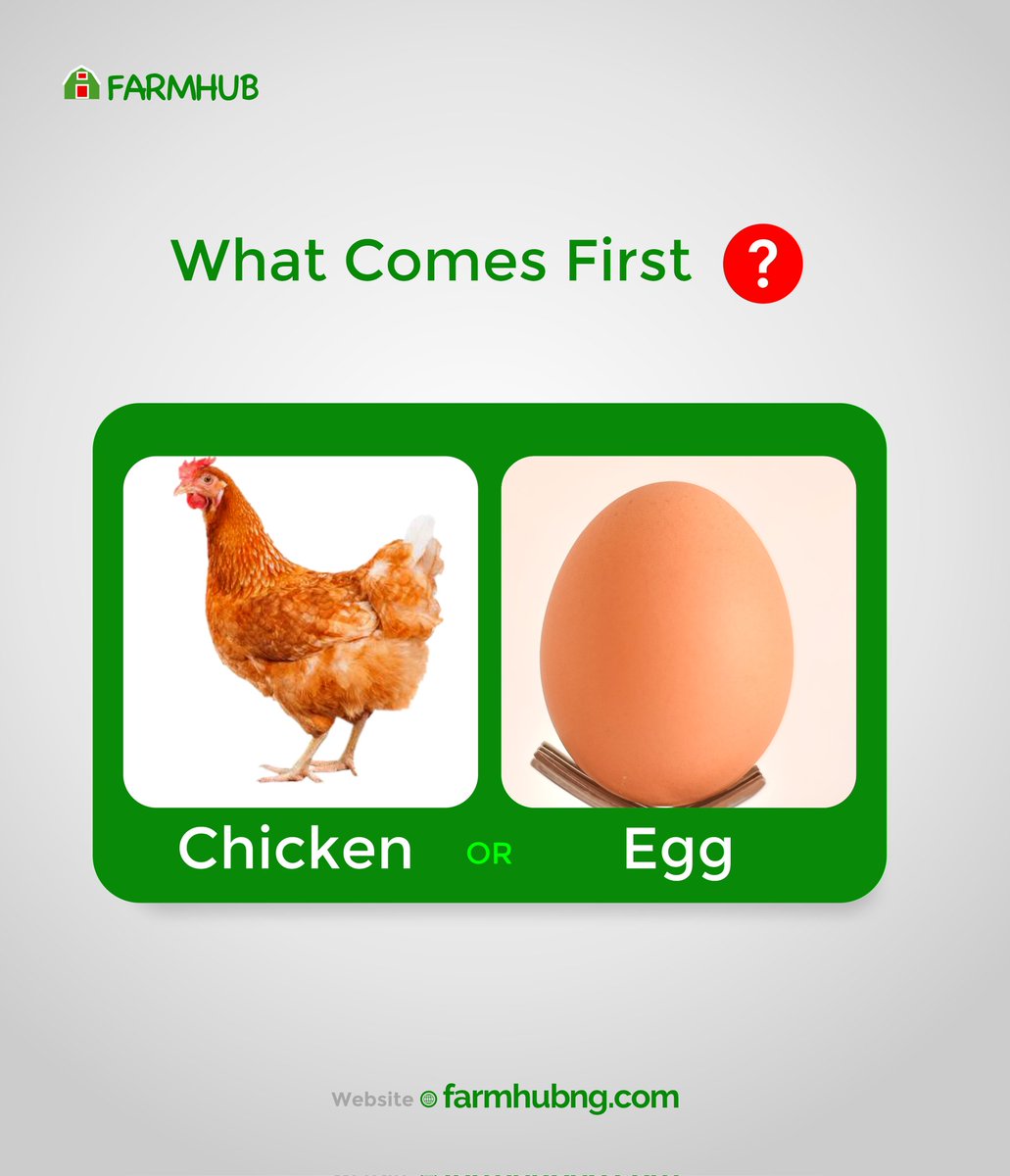 farmhub_ng's tweet photo. Whatever your answer is, we've got premium old layers available @ N3500 a bird! 

Slide into our dms to place your order or kindly visit our website; https://t.co/FM5LxlJ3HA or use the link in our bio for ease. 

Delivery within Abuja is at a flat rate of N1000 only. https://t.co/8EipPojIgo