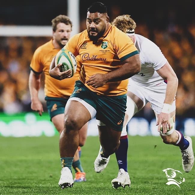 Taniela Tupou tweet media