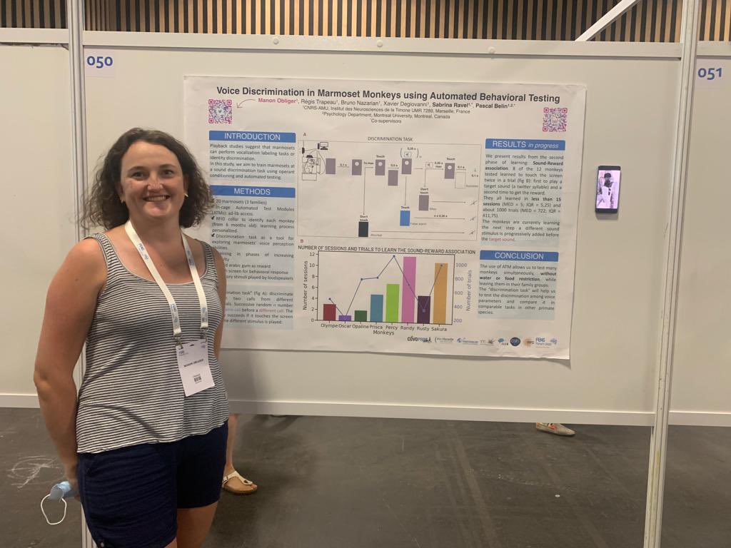 INT-Banco tweet media