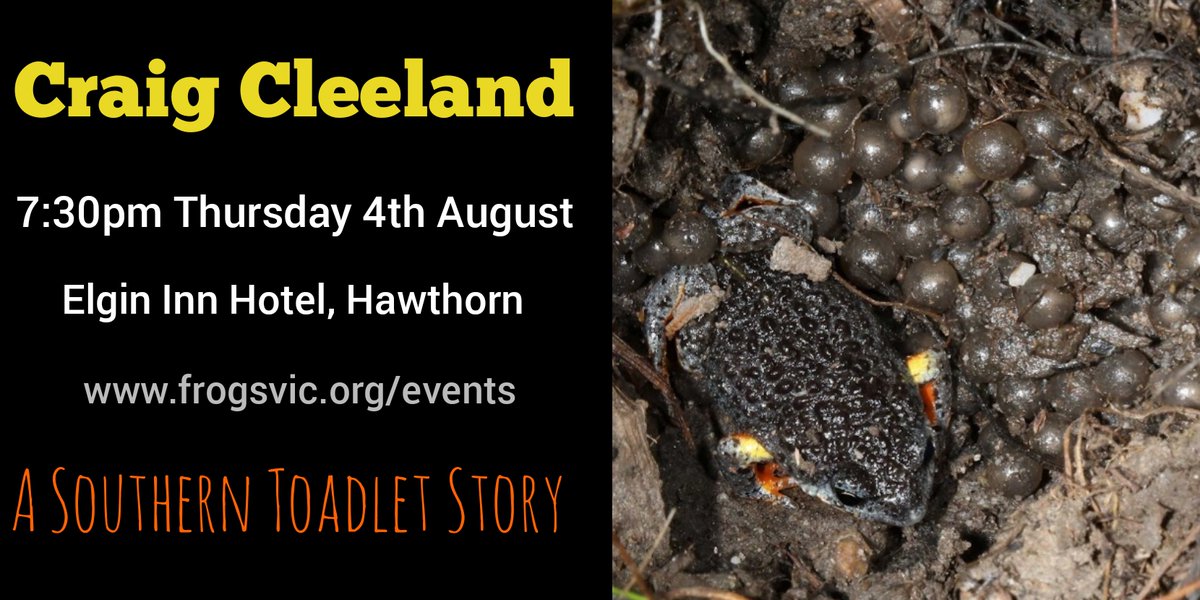 FrogsVic's tweet photo. #frogsvic next month's speaker is Craig Cleeland, who will speak about Southern Toadlet survey findings undertaken in Greater Melbourne. #sciencetalks #frogconservation #toadlets #southerntoadlet #nillumbikcouncil https://t.co/FOwDLbqsWA