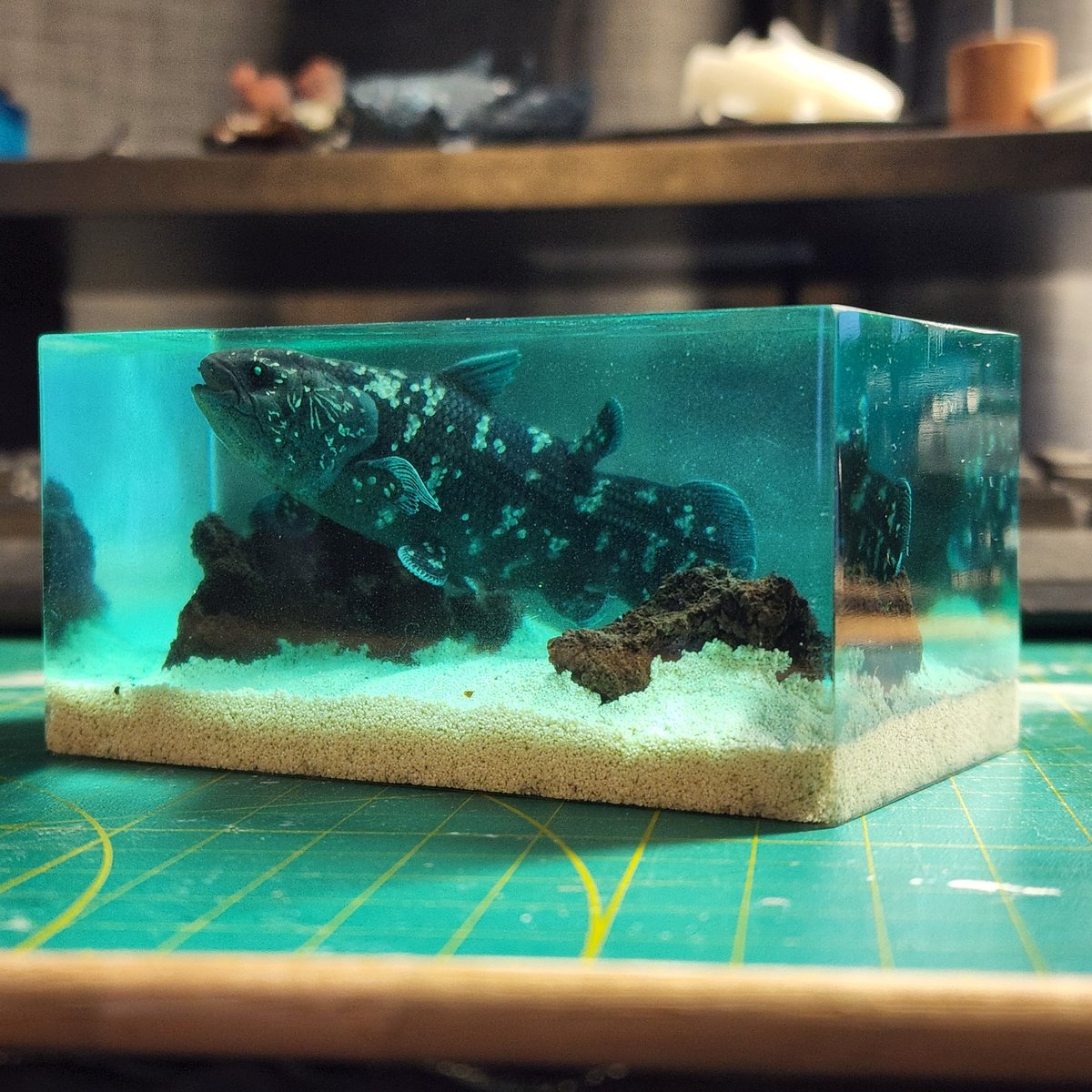 Hello everyone, time for another ✨️give-away✨️, this time a Coelacanth resin diorama! To enter: -Follow me -🔁 this post Drawn 18th August, GL!!