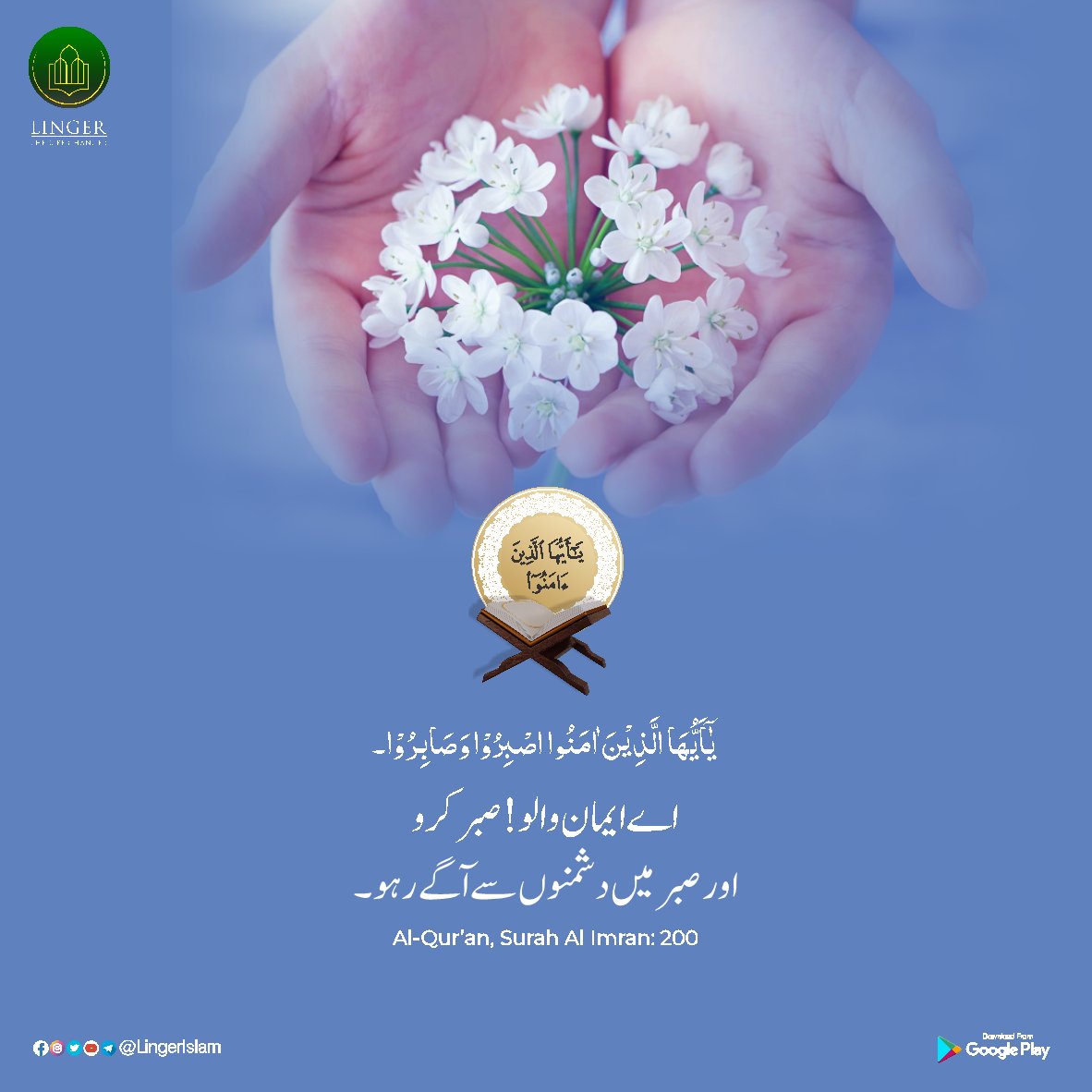 MillatCo's tweet image. ऐ ईमान वालों ! सब्र करो और सब्र में दुश्मनों से आगे रहो। 

Al-Quran, Surah Al-Imran : 200 

#सब्र #Sabr #SurahAlImran