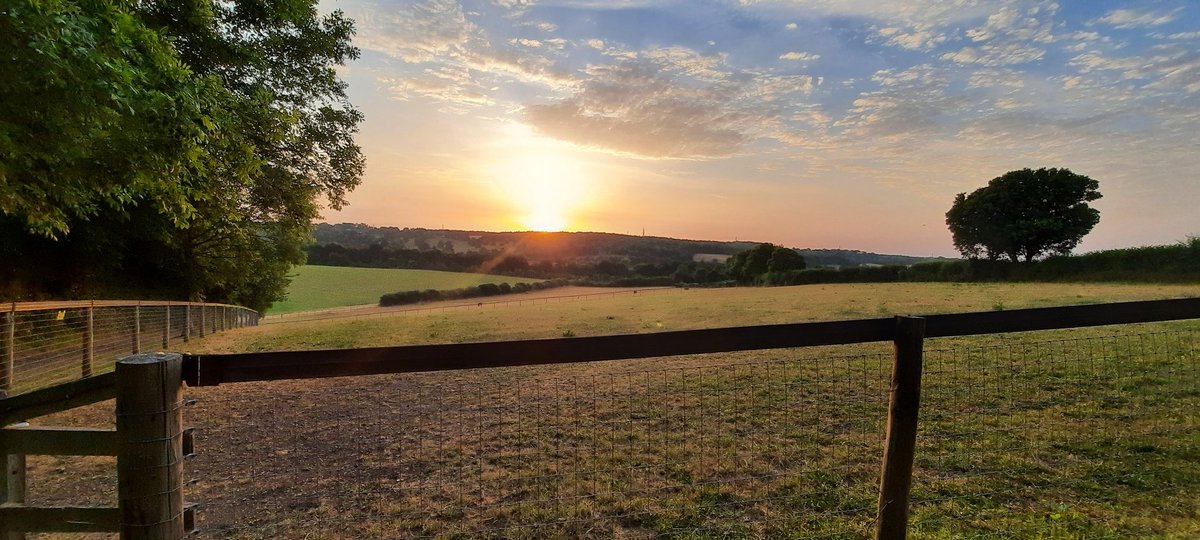 akajools's tweet image. Lovely and cool  so far, up with the birds