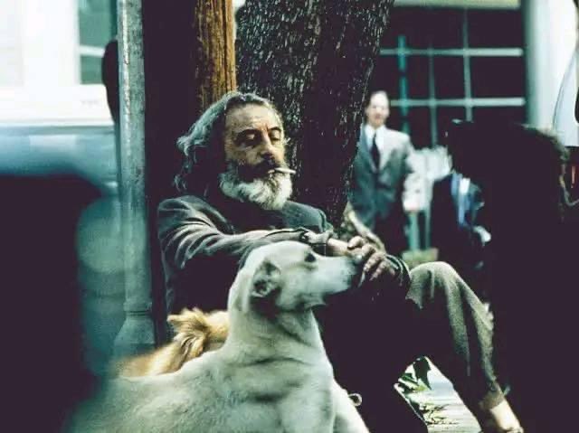 adanfetamina's tweet photo. “Quería componer el mundo para después compartirlo contigo. Te habrás dado cuenta de que fracasé”.

Amores perros (2000)
Dir. Alejandro G. Iñárritu https://t.co/KLQ0cawvpf