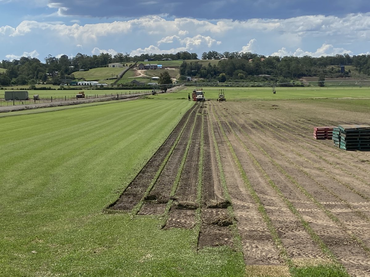 Hort Innovation is seeking a delivery partner for the Turf industry communications program (TU22000).
This project will facilitate the uptake of R&amp;D, provide information and knowledge on industry developments, events and much more👇👇👇 
tenders.net/dtp/horticultu…
