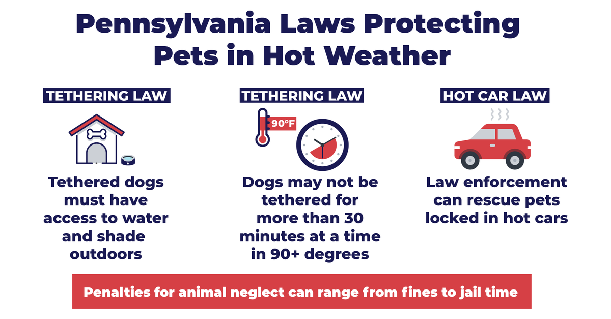 GovernorShapiro's tweet photo. This week is going to be dangerously hot in much of the commonwealth.

Stay safe, and remember to keep your pets safe too. In Pennsylvania, it's the law.

Throughout my administration, we've strengthened animal protection laws — including laws protecting pets in hot weather. https://t.co/diBpIVpNIb