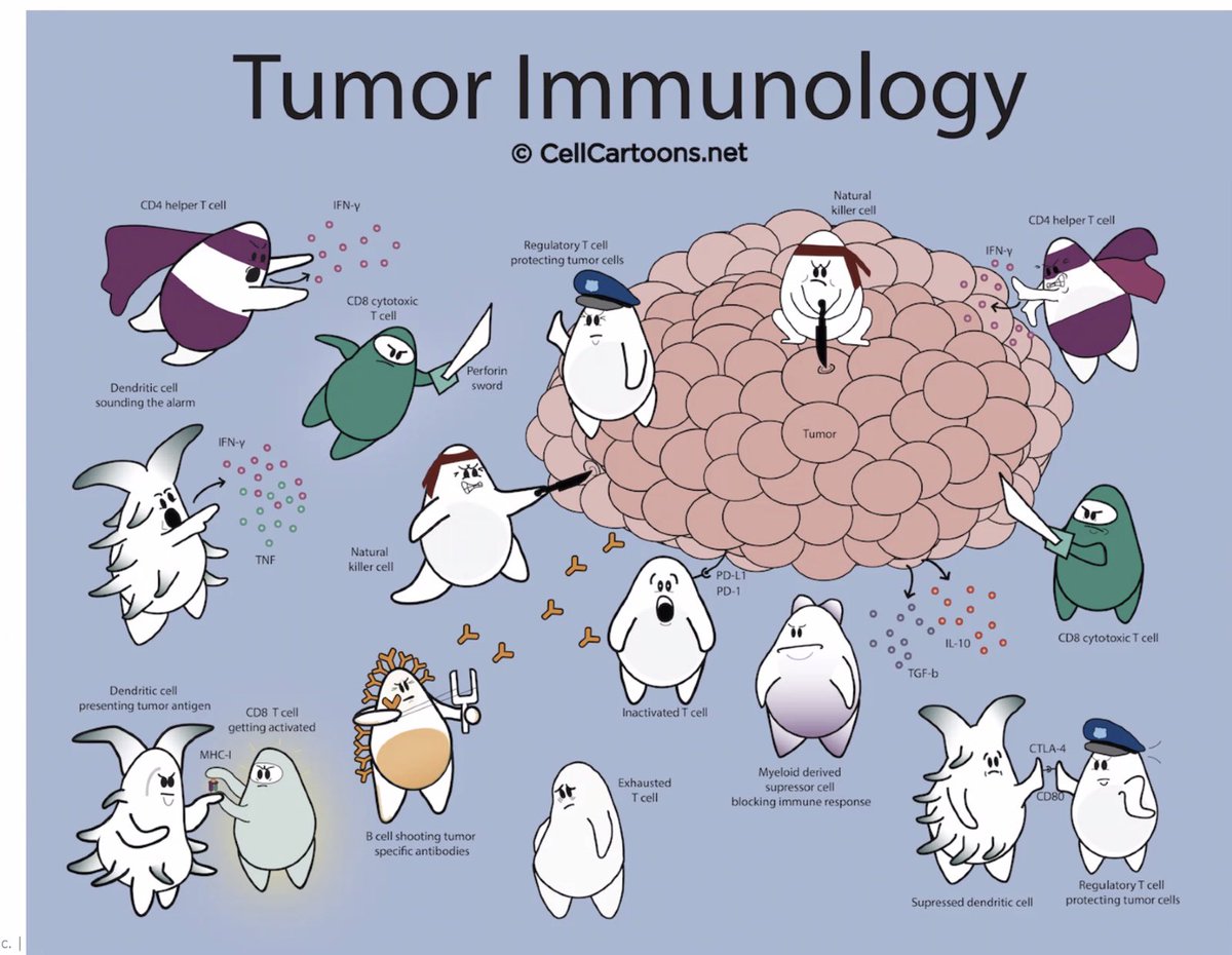 trutane's tweet photo. @ATrotmanGrant Hard to pick a winner - they’re all important! Has there been a final #BestImmuneCell vote for 2022?

Image from https://t.co/YZq0efN6TX
#immunology https://t.co/pXoXNhKVuu