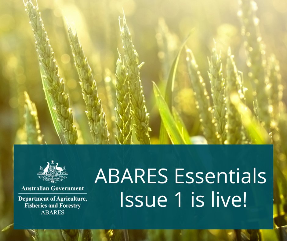 ABARES's tweet photo. Go with the grain and check out the first issue of @ABARES Essentials!
Visit: https://t.co/BCI6xscjMl
Let us know what you think! #agresearch #forestryresearch #economicoutlook #agcommodities #agsciences https://t.co/zBamaWUhVA
