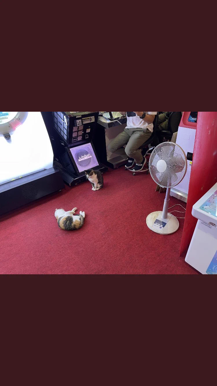 @gamebetty_nanao 扇風機が怒ってるのかと思ったw 