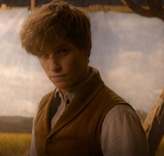 urfavoriteisace's tweet photo. Newt Scamander from the 'Fantastic Beasts' franchise is asexual! https://t.co/ArUmKLcsjP
