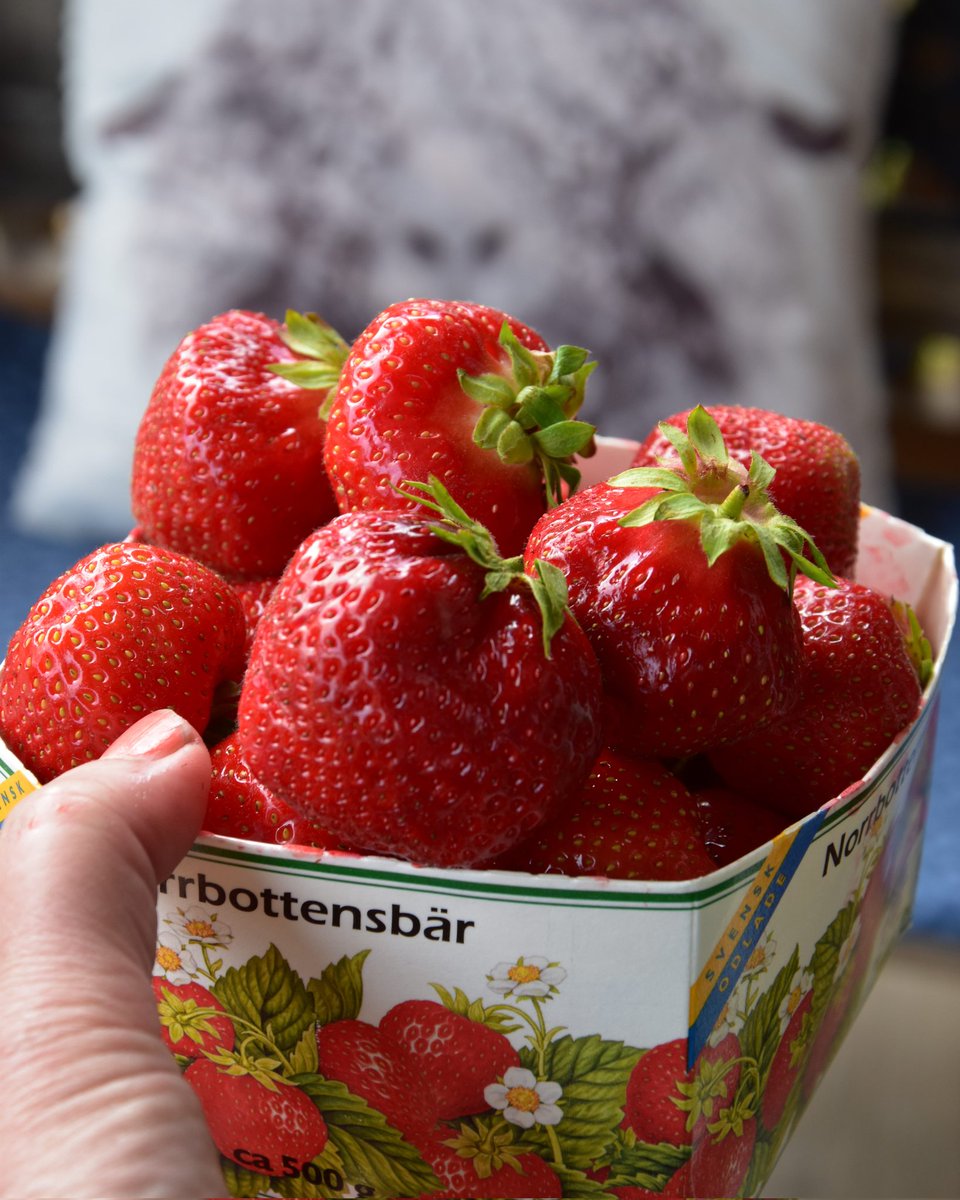 ThereseHenriks's tweet photo. I Mockträsk är jordgubbarna stora! 
🍓🍓🍓
#jordgubbar https://t.co/QDd7hNe9Pl