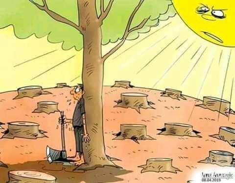 Mes petits conseils pour la canicule :
☀️ Ne vous exposez pas
💧 Buvez de l'eau
🌳 Plantez des arbres
🚫 Militez contre la société de consommation
#petitpostdudimanche en retard