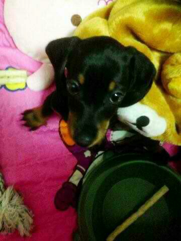 nuest rare/old pics tweet media