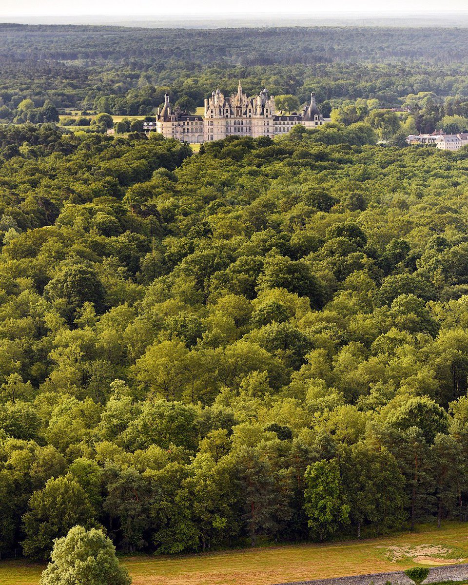 domainechambord's tweet photo. Profitez de l'ombre du parc autour du château et dans la forêt. La fraîcheur sera également présente à l'intérieur du château. 2/2 https://t.co/7LmROgZp6f