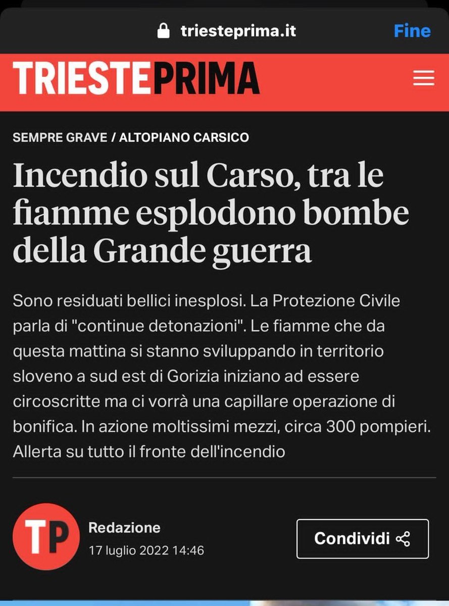 andyblanck1's tweet image. a huge fire broke out on the #Karst, south Gorizia. Dangerous detonations on the ground due to #WW1 remnants💥