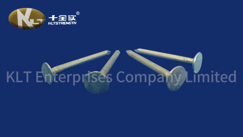 kltstrength's tweet photo. If you're after a high-quality roofing felt nails, you're not going to be disappointed with Wholesale Roofing Nails Zinc Coated Roofing Nails. #roofingfeltnails #roofingnailsforshingles #spiralroofingnails https://t.co/XDvYxB5IPx