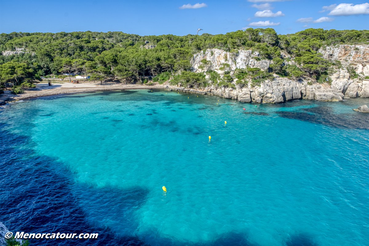 MENORCATOUR's tweet photo. Platja de Macarella  🤩🏖️🌞🏊🤩 https://t.co/Q2p1HM32Al
Síguenos en @MENORCATOUR 
https://t.co/qpfFG9mbnM

#menorca #menorcaparadise #menorca_eyes #menorcalove #menorca_nature #menorcaturismo #menorcatour #menorcaexisteix #menorcatour #playas #playasmenorca #macarella https://t.co/awfhlWA7he