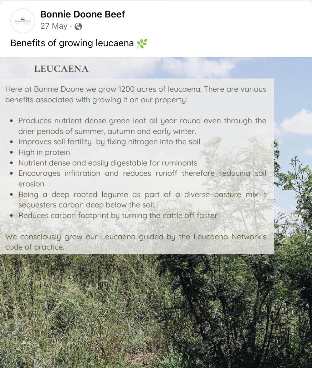 Ernie Young tweet media