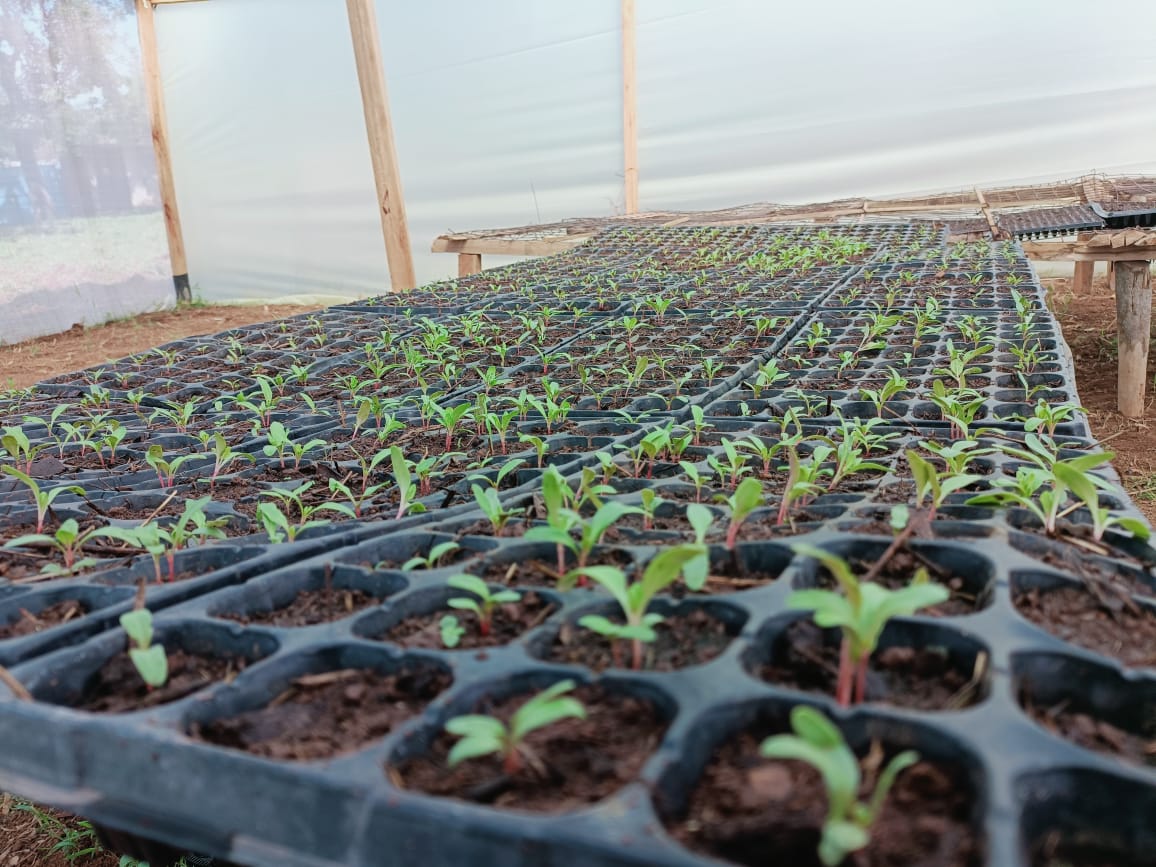 TransFarm Ventures tweet media