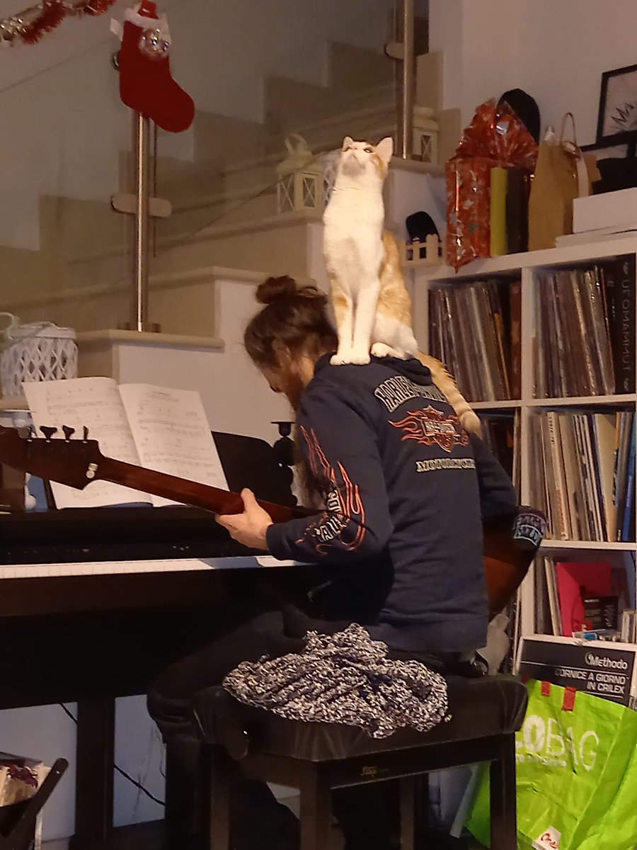 Atomic Mold (@atomicmold) on Twitter photo 