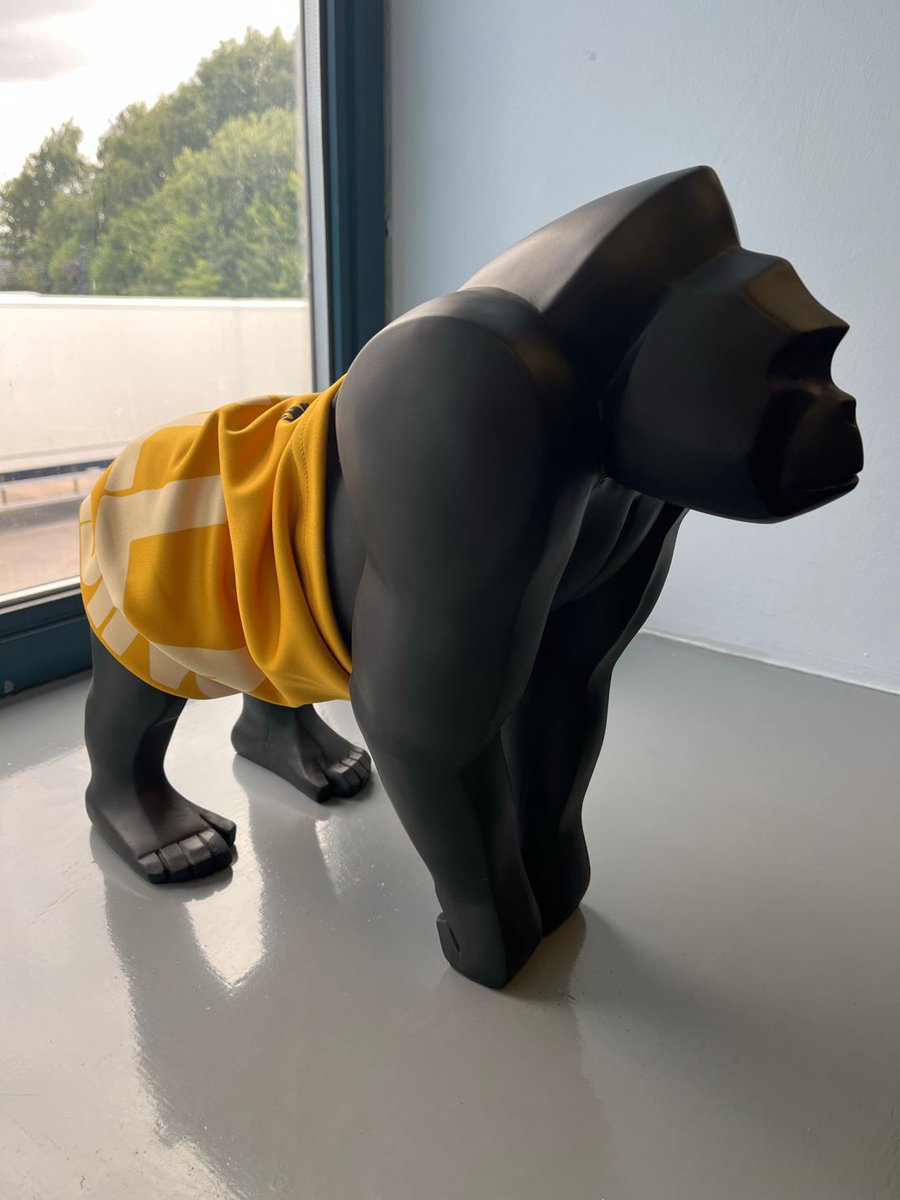 GorillaScaffold's tweet photo. We'd like to introduce you to the newest member of the Gorilla Team!👀🦍 

#Scaffolding #Scaffolders #Construction https://t.co/yzPdxxZCPd